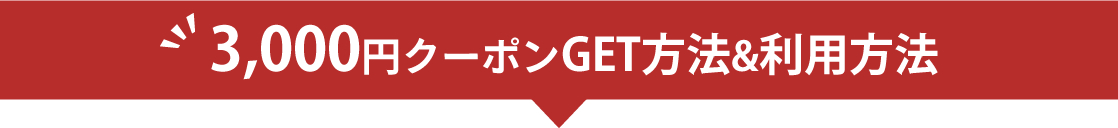 GI山梨 ワイン セット 期間限定 数量限定 20%OFF