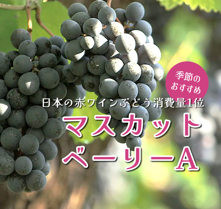 季節のおすすめワイン マスカットベーリーAのワイン