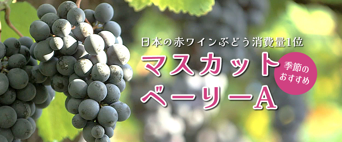 季節のおすすめワイン マスカットベーリーAのワイン